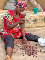 Shea ButterUnrefined Shea Butter, 100% Pure & Raw, from [Ghana]. - Image 9